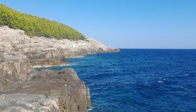 Marijana - One bedroom with balcony - Foto 3