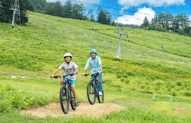 Naeba Prince Hotel - Photo 42