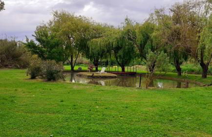 Maison au bord de l'eau - Photo 9