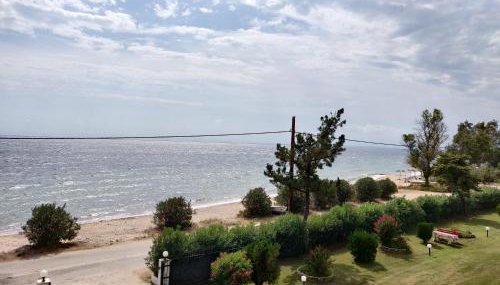 Entire Appartment 50m from sea - Spiros - Foto 5, Garden, Garden view