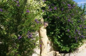 Stella Dei Campi - Foto 24