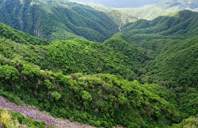 Towns of Tucuman Tour - Photo 9