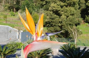 Casa Avós & Netas, Fantastic View, Near the Nature! - Foto 4