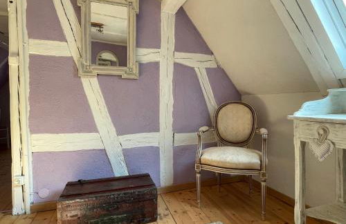 Gîte Aux P'tits Cœurs d'Alsace - Foto 27