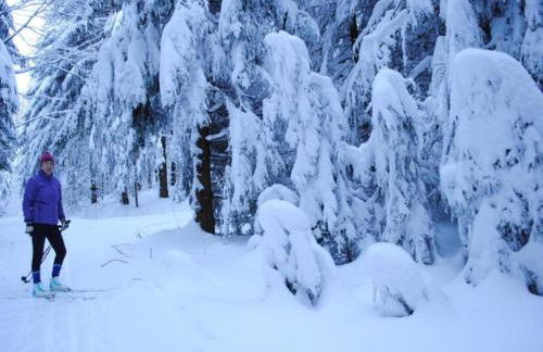 Cozy Apartment in Ruhmannsfelden With Swimming Pool - Foto 40