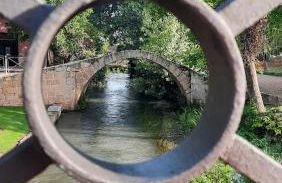 Aromas del Jiloca - Foto 17