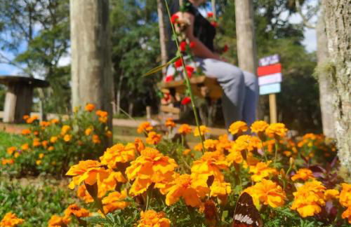 Chalé Caminho do Sol - Foto 68