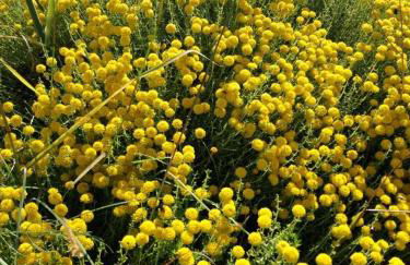 Case de Campo "El Caroche" Alojamientos, Retiros y Eventos - Foto 57