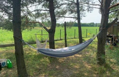 Domek wypoczynkowy Letnisko Sosenkowo - Foto 26