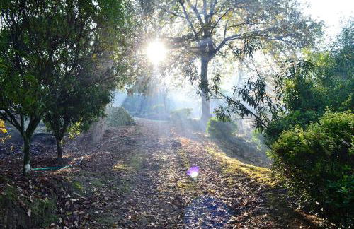 Casa no Marco de Canaveses - Foto 19