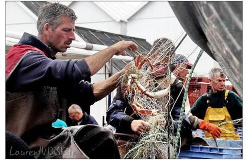Ensemble de 2 gîtes de charme - 15 personnes - Foto 64