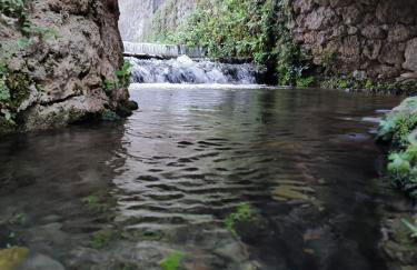 La Guijarroseña , Rio Madera - Foto 19