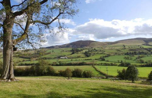Plas yn Yale with mountain views from all windows - Photo 25