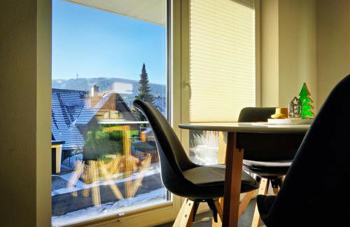 Apartments Patzina NEU 2024 - Kurort Oberwiesenthal - Foto 25