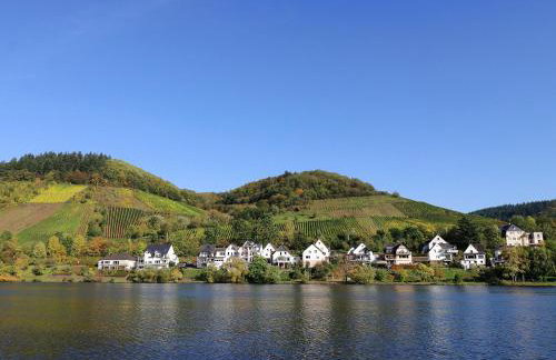 Ferienhaus Bullay - Foto 56