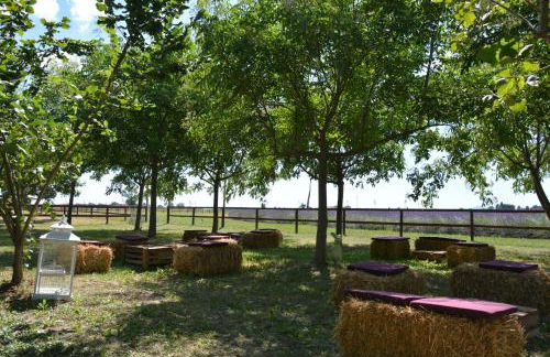 La Tenuta Va Oltre - Foto 53