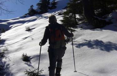 Haus Eicher - Foto 31