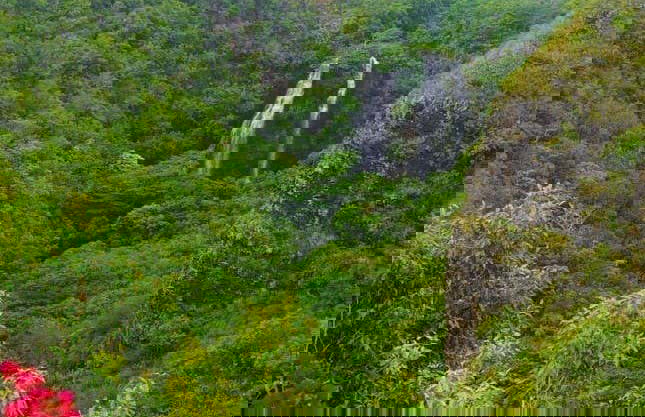 Kauai Movie Tour - Foto 3