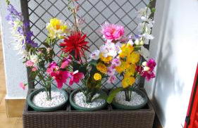 Apartment Pineta dell'Alben - Foto 16