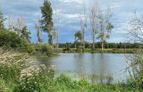 Schön möblierte Wohnung in Genthin/ OT Tucheim - Foto 22