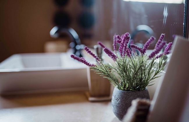 Rancho Toros Pintos - Foto 29