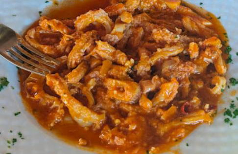 Bio Agriturismo Aia del Tufo - Foto 57