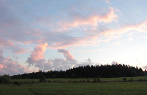 Mazury Garbate. Dom II przy Cisowym Jarze - Foto 5