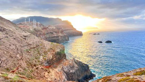 Studio Home Away from Home - Photo 1