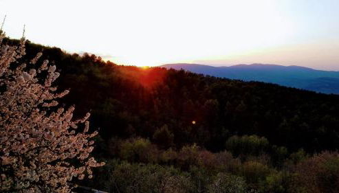 Alloggio turistico Montelirossi - Photo 4