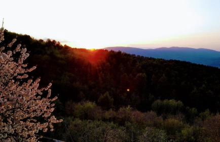 Alloggio turistico Montelirossi - Photo 4