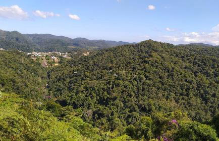 Aconchego da Montanha - chalé - Foto 26