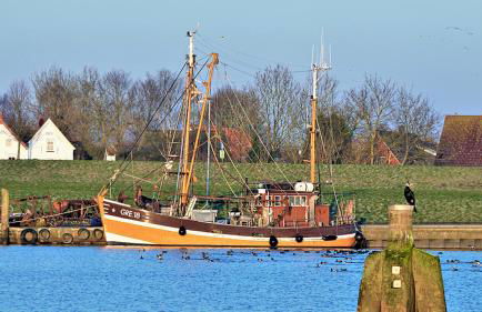 Meereszeiten - Foto 24