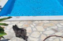 Kuca za odmor Vugica - Photo 79