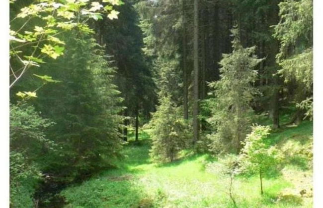 Cozy Holiday Home in Großbreitenbach near Schwarza Valley - Foto 20