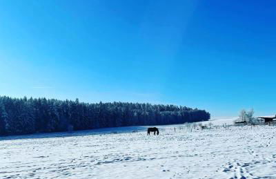 Ferienwohnung Schwarzalb - Foto 25