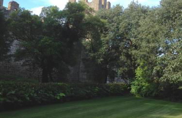 Agriturismo Barchessa - Foto 45