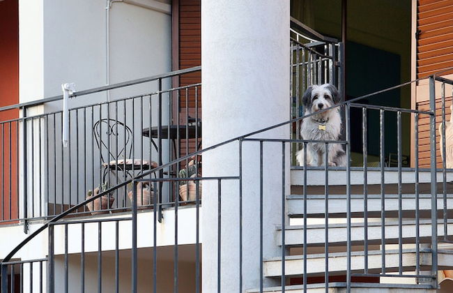 Adriana Holiday House , Free Parking, Wi Fi, Near Sea, Private Kitchen, - Foto 13