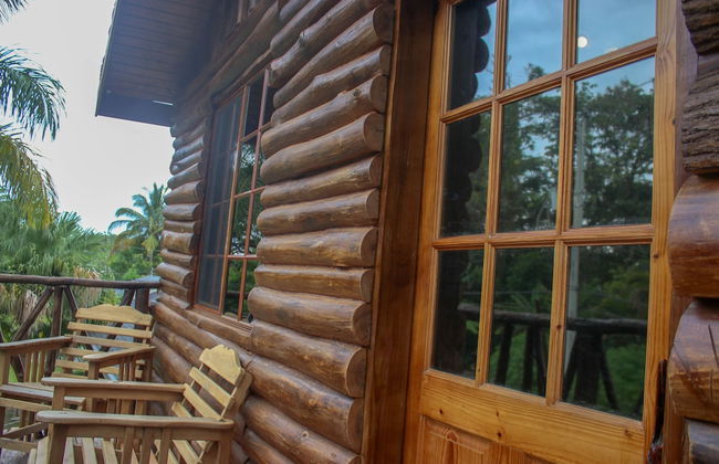 The Blue Mahoe Treehouse - Photo 17