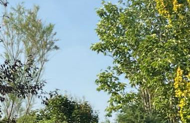 Apartment Auszeit - Foto 32