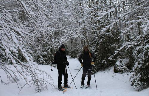 O Chardinet d'a Formiga - Foto 33