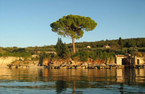 Apartmani Škrnjug - Photo 56