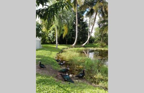 Bonita Oasis - Foto 18