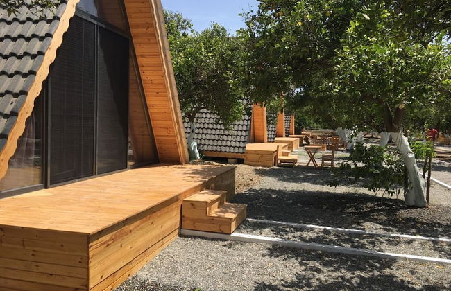 Limon Datca - Foto 2