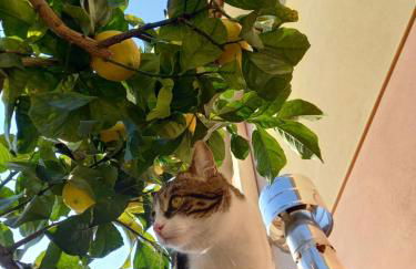 Katia's Quiet Little Apartment - Photo 19