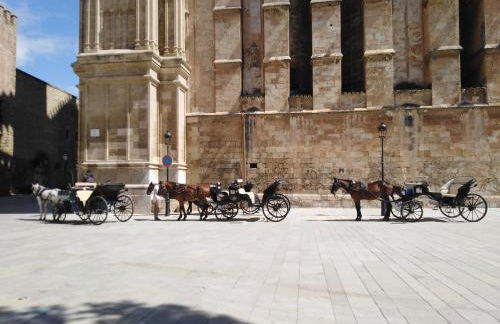 City Haven Palma - Foto 38