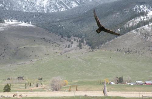 Chico Peak cabin nr Yellowstone,Chico Hot Springs - Foto 29
