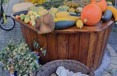 Agroturystyka Leśna Malinka - Foto 10