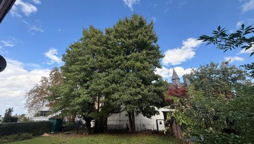 Nr 3 Gemütliches & helles Einzelzimmer in Kleve - Foto 5, Garden, Garden view