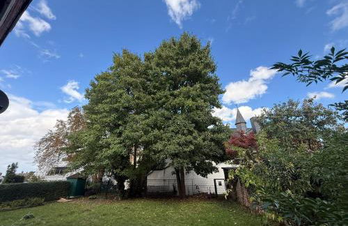 Nr 3 Gemütliches & helles Einzelzimmer in Kleve - Foto 5