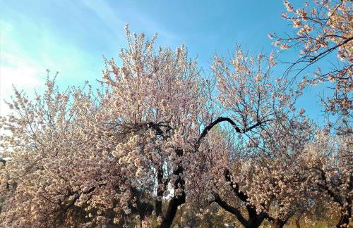 Torre Bruno - Foto 6